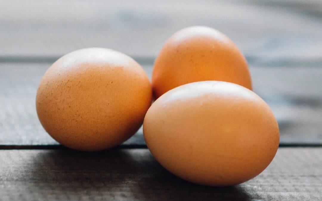 Top Health Benefits of Eggs: Include Them in Your Diet