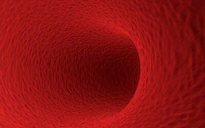 Lipoprotein(a): The Hidden Risk Factor for Heart Disease