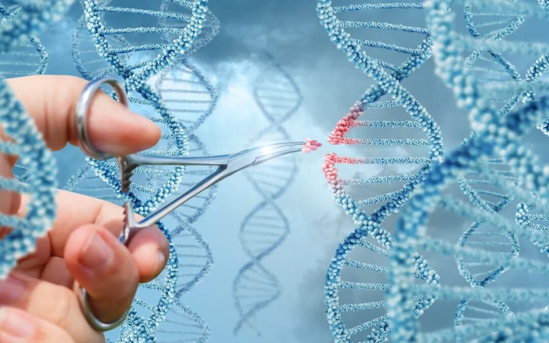 What is Homocysteine – and Why Should You Care?